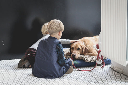Is one or two puppies better for our family? - Walkies Pet Shop