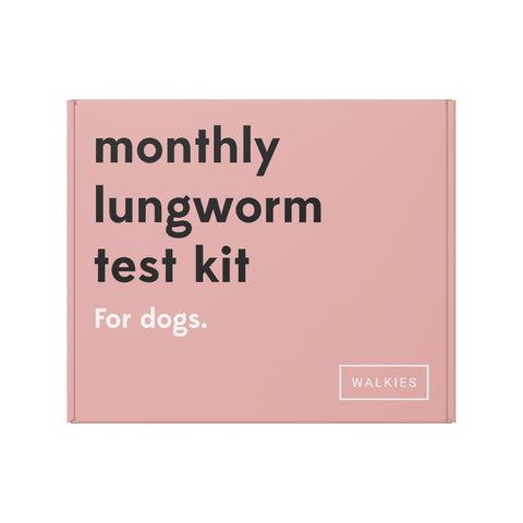 Lungworm Test Kit For Dogs - Walkies Pet Shop